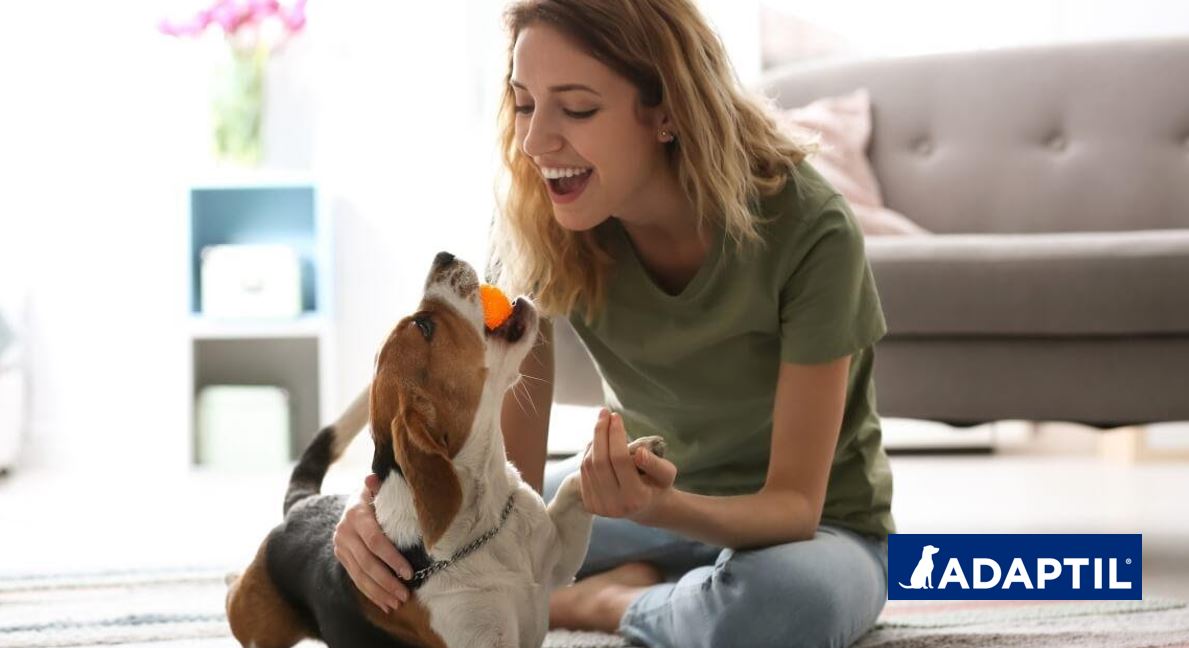 Mujer jugando con un perro que tiene una pelota en la boca.