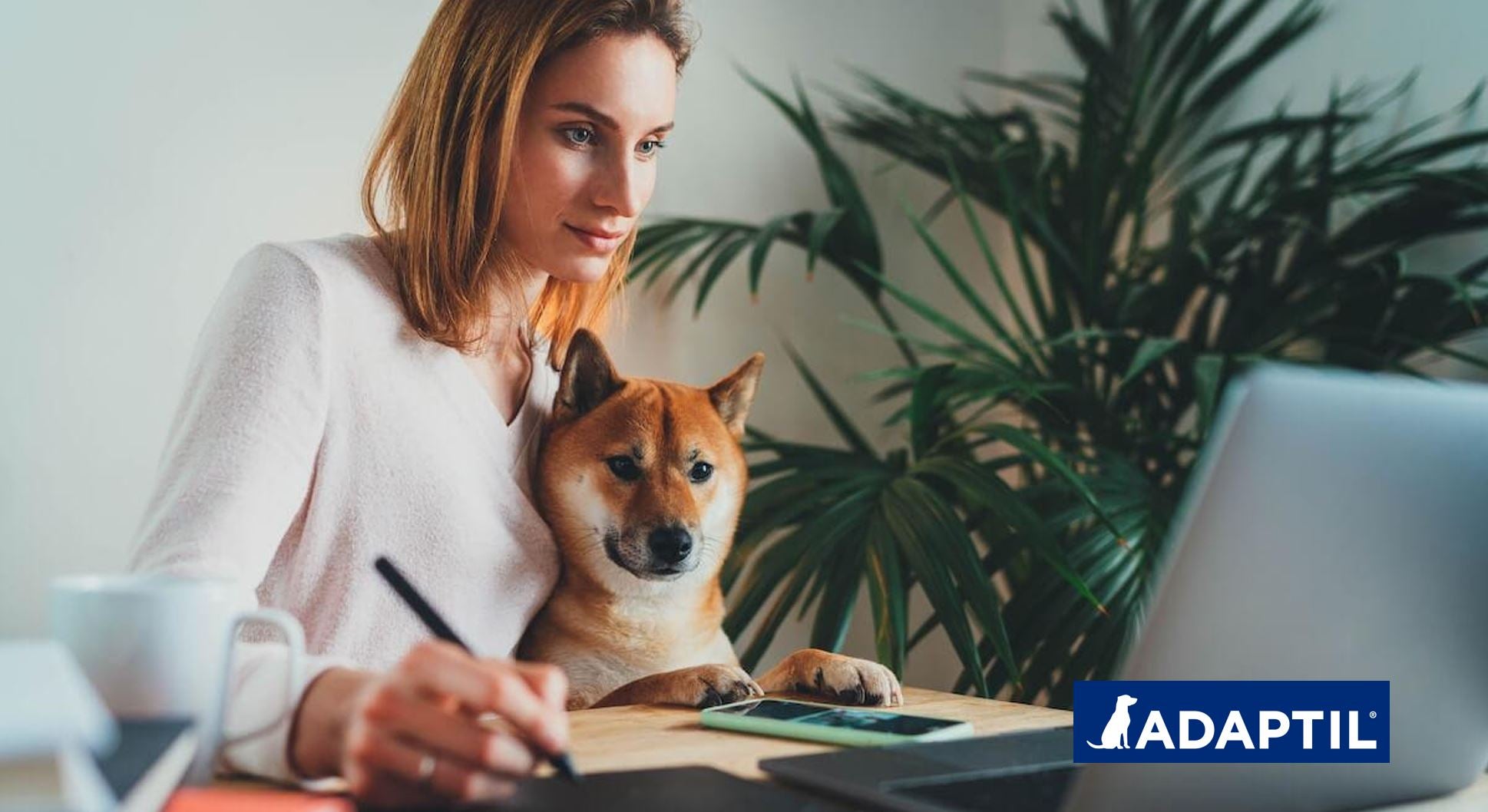 Tu colega perfecto: Consejos de un perro para trabajar desde casa
