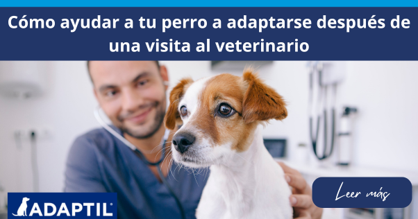 Veterinario sonriente sujetando de forma segura a un perro en una clínica veterinaria.