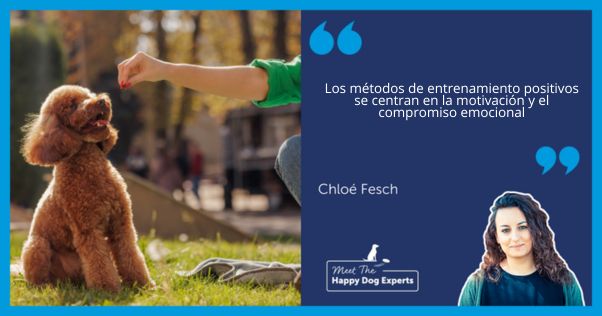 Mujer entrenando a un perro en un parque con premios.