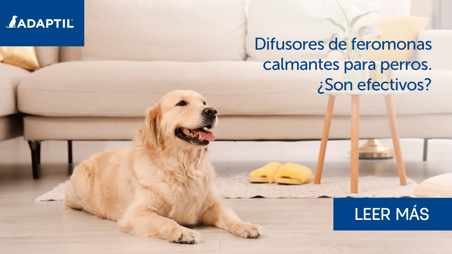 Adaptil difusor: el secreto de las feromonas del apaciguamiento