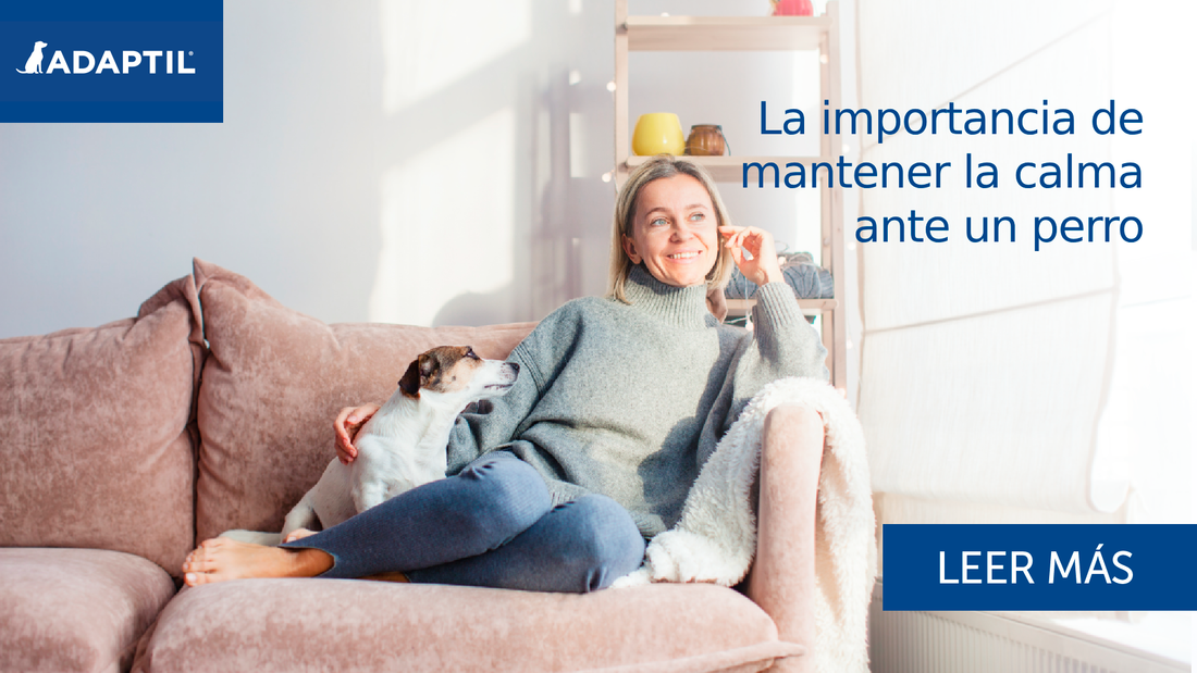 La importancia de mantener la calma ante un perro