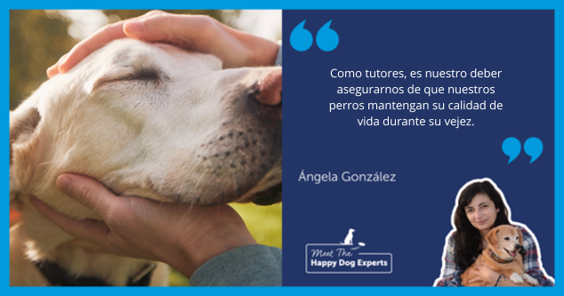 Happy Dog Expert: ¿Puede un perro tener Alzheimer?