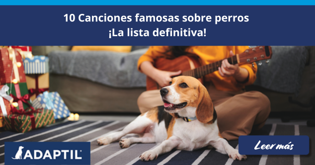 10 Canciones famosas sobre perros 