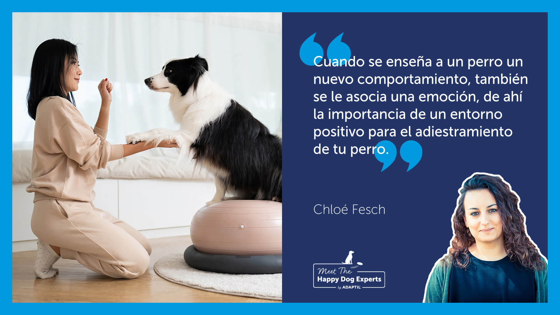 : Joven entrenadora trabajando con su perro en un ambiente tranquilo.