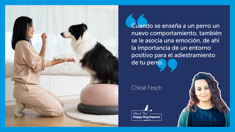 : Joven entrenadora trabajando con su perro en un ambiente tranquilo.