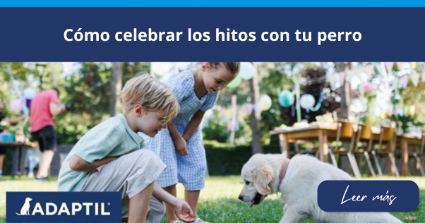 niños con perros