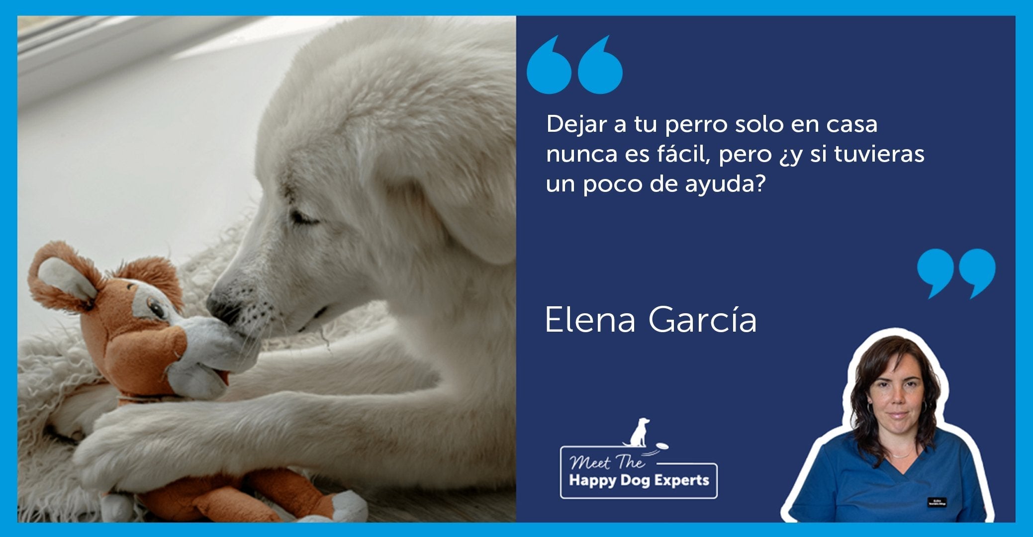 Cómo enseñar a tu perro a quedarse solo en casa | Happy Dog Expert