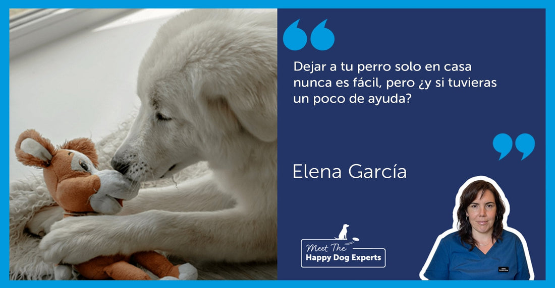 Cómo enseñar a tu perro a quedarse solo en casa | Happy Dog Expert