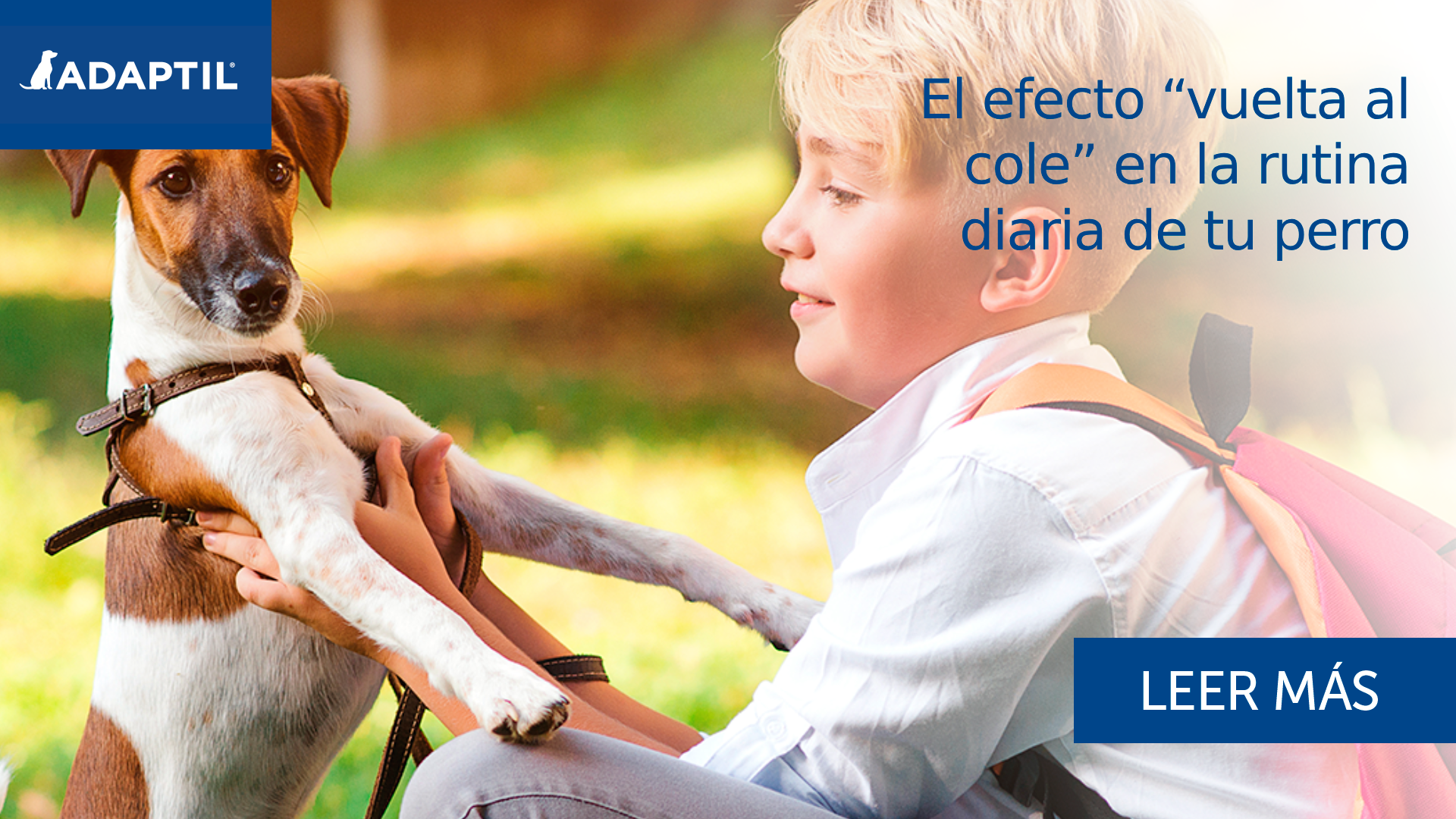 El efecto “vuelta al cole” en la rutina diaria de tu perro