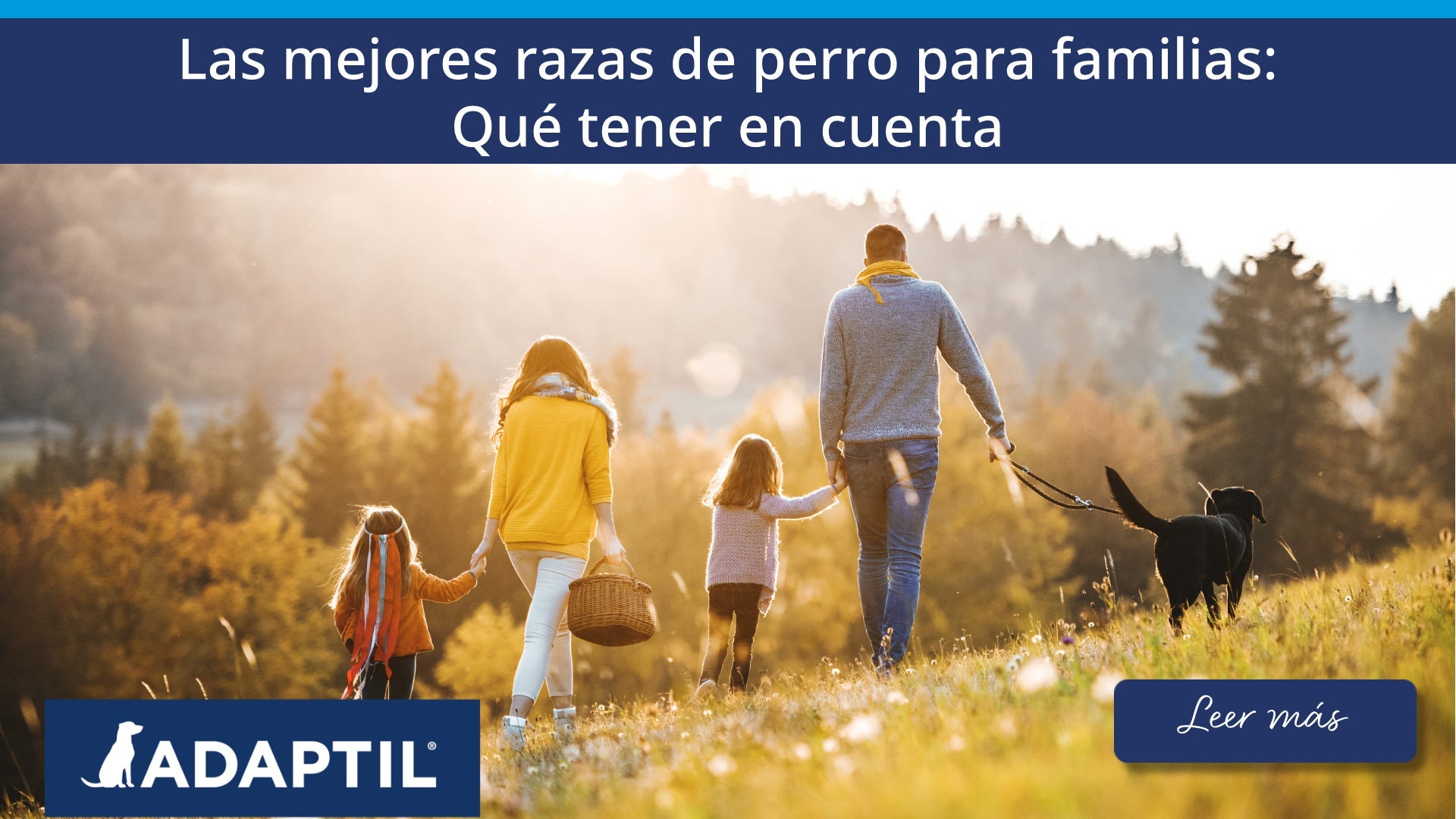 Vista trasera de una familia con dos niños pequeños y un perro paseando al atardecer.