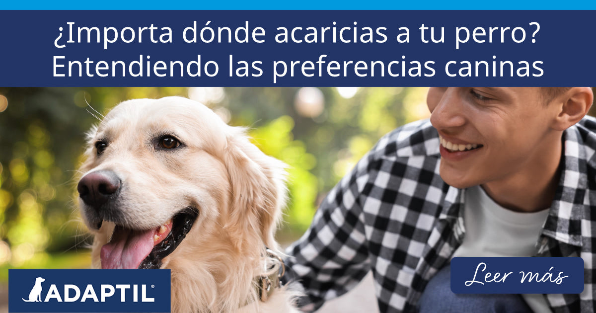 ¿Importa dónde acaricias a tu perro? Entendiendo las preferencias caninas