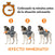 Chaleco relajante ThunderShirt