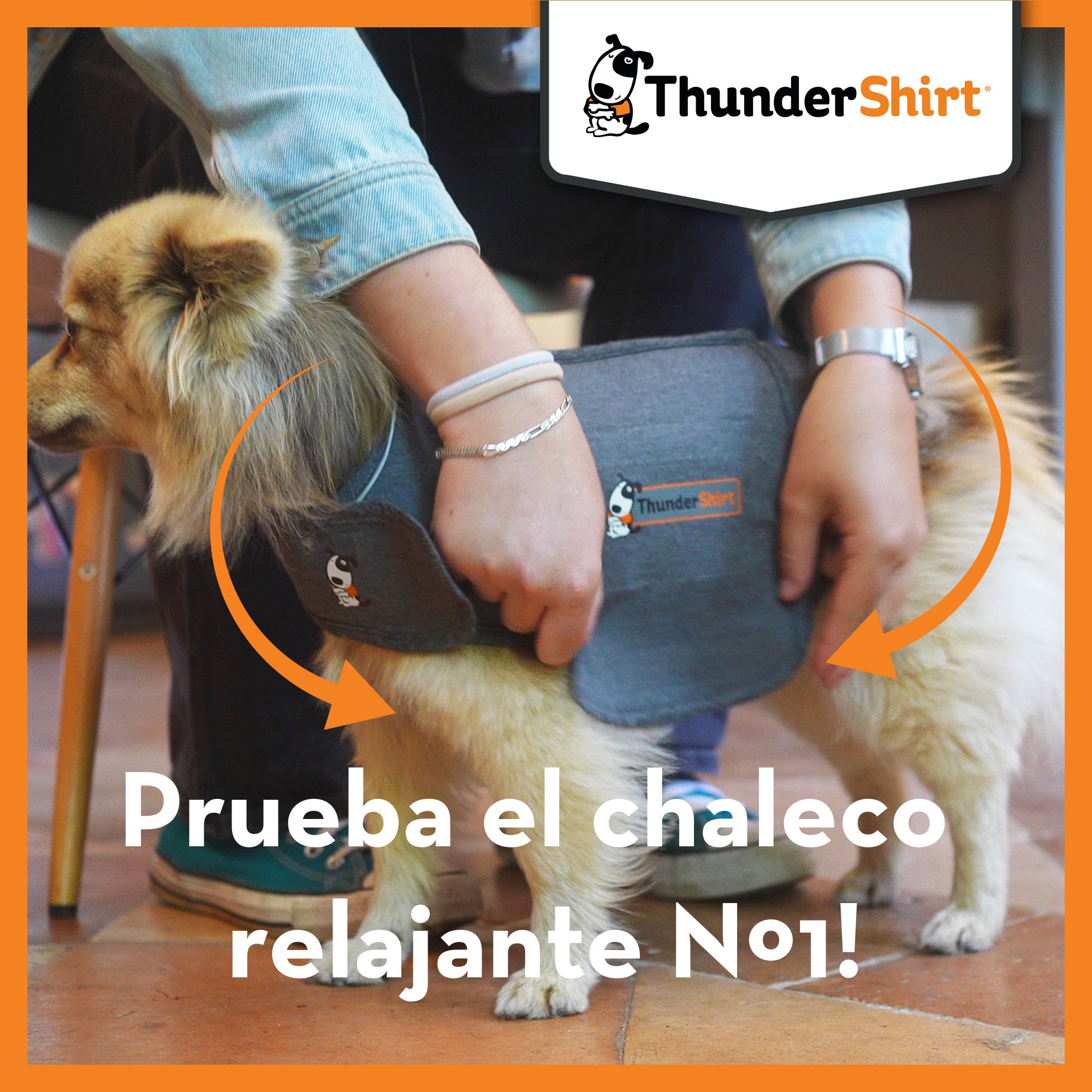 Chaleco relajante ThunderShirt