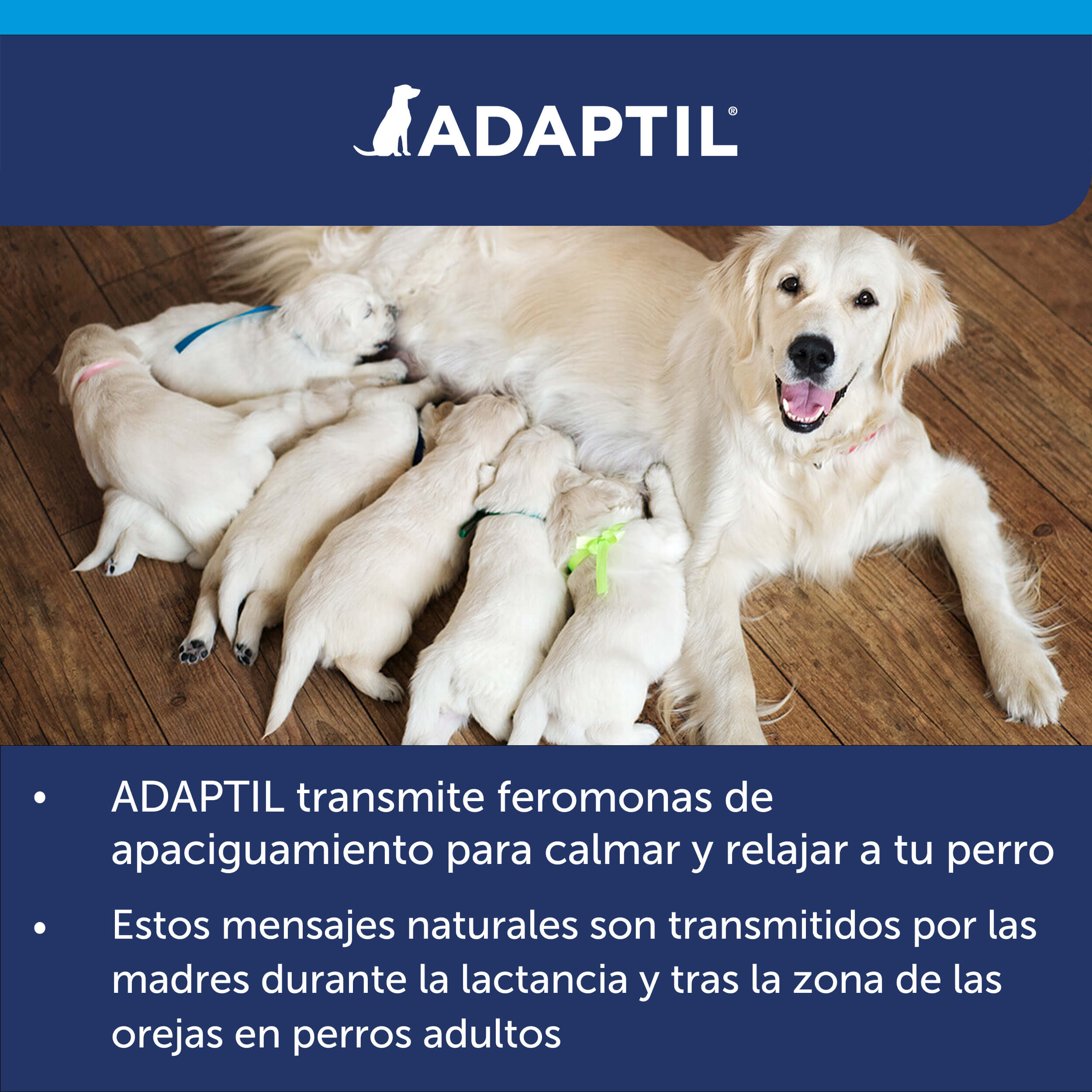 ADAPTIL Calm Collar