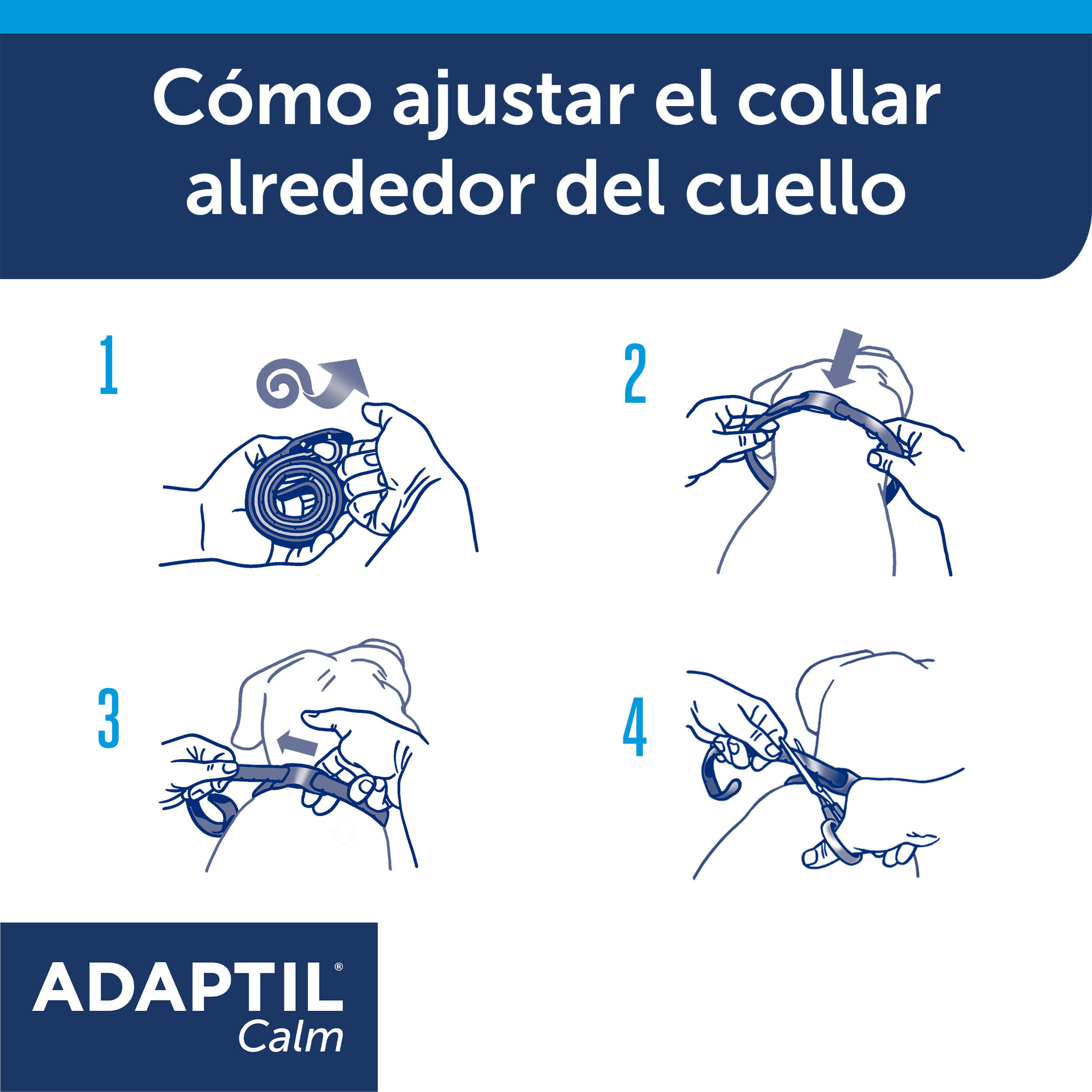cómo ajustar el collar adaptil
