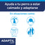 adaptil calm situaciones en las que ayuda