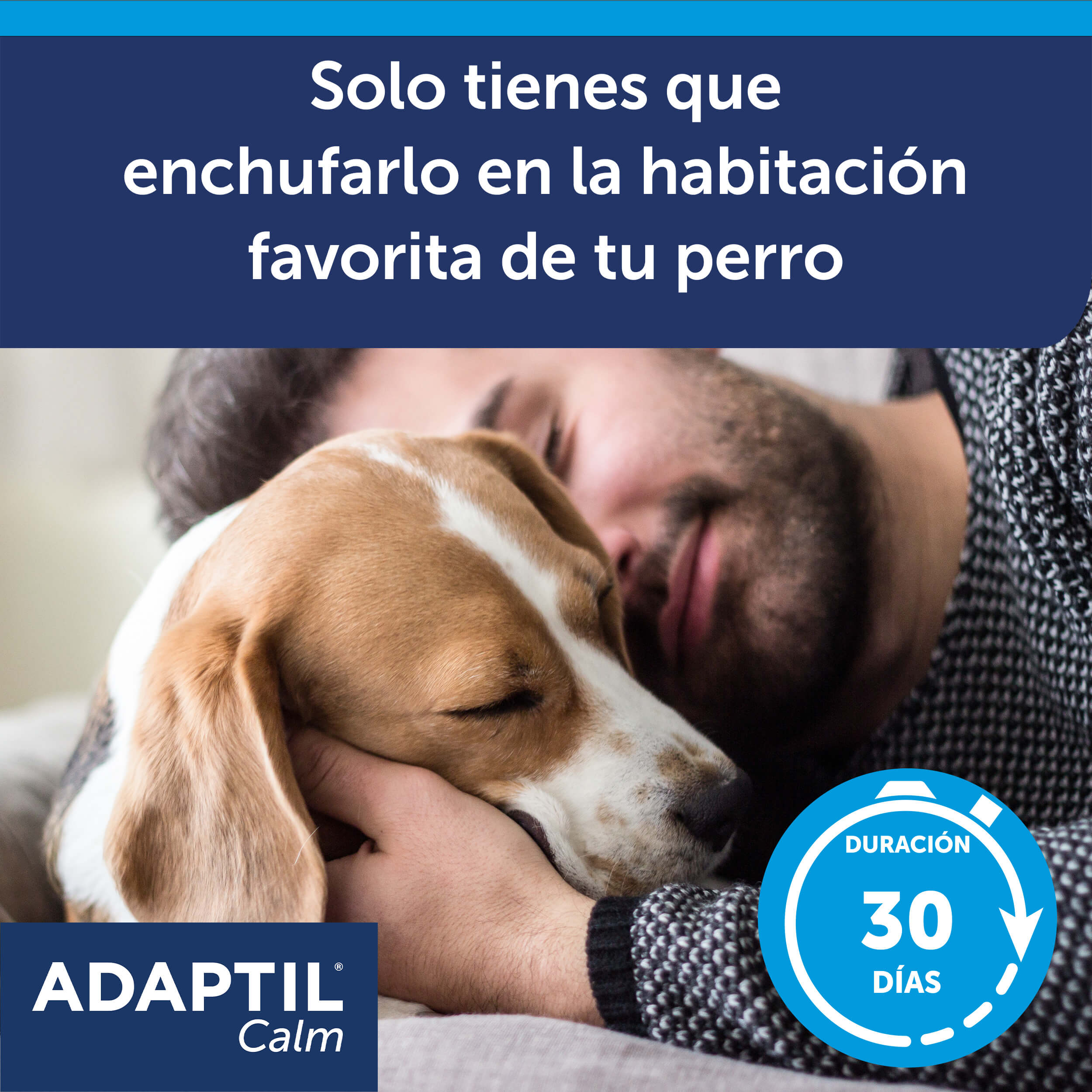 adaptil calm chico y perro chocando las cabezas