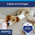 adaptil calm perro tumbado en las piernas de una persona