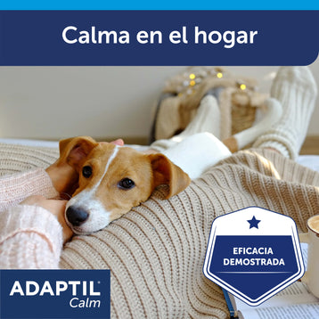 adaptil calm perro tumbado en las piernas de una persona