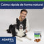 Adaptil chew border collie tumbado con persona detrás