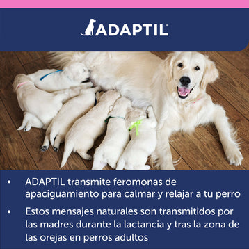 ADAPTIL Junior