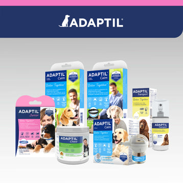 ADAPTIL Junior