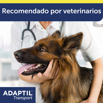 adaptil transport spray veterinario cogiendo la cabeza de un pastor alemán