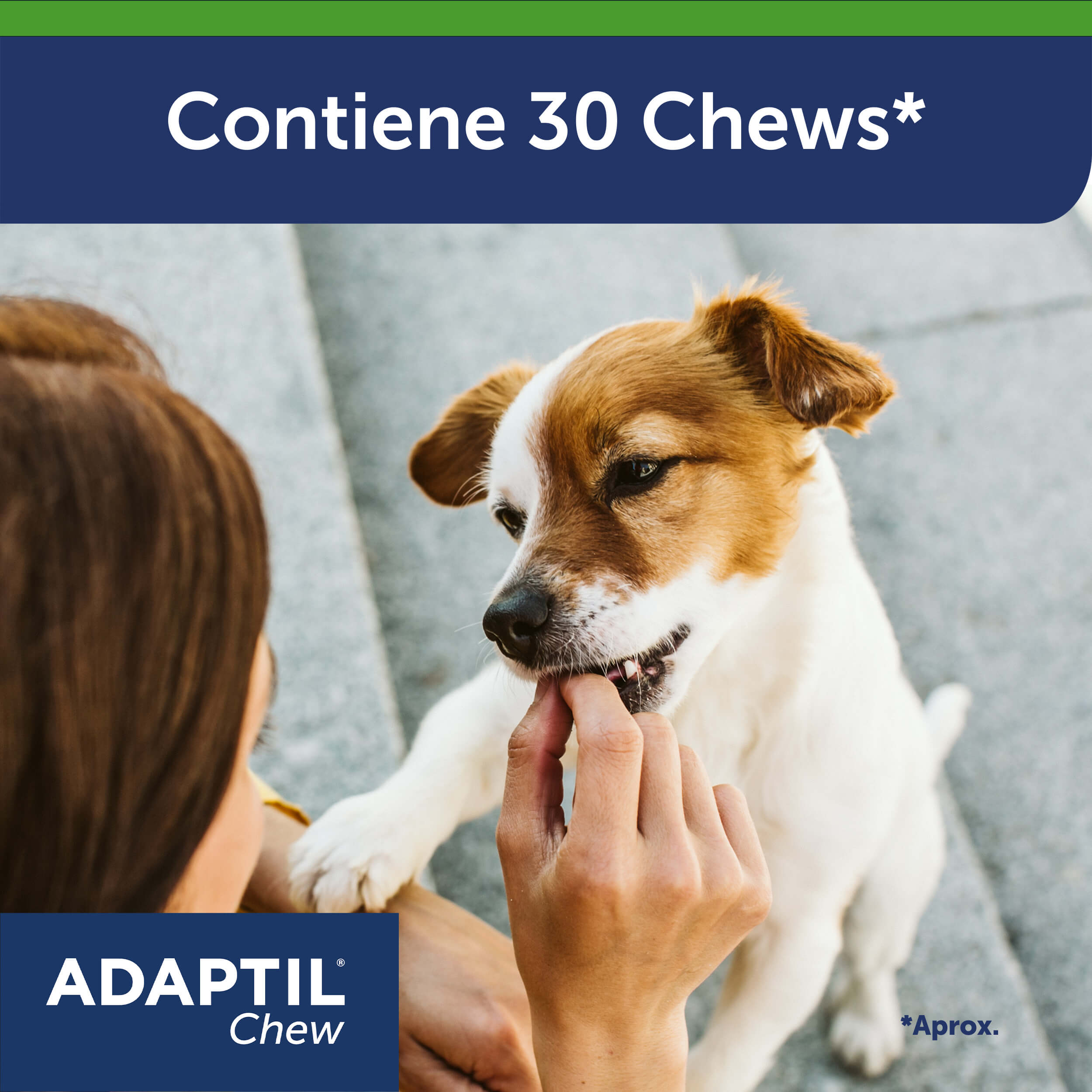 Adaptil chew cantidad