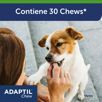 Adaptil chew cantidad
