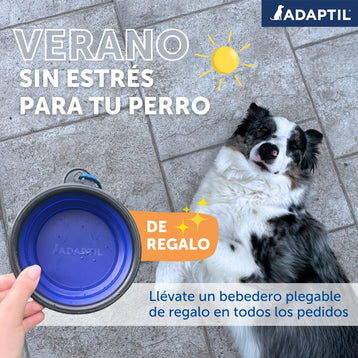 Regalo - Bebedero de viaje